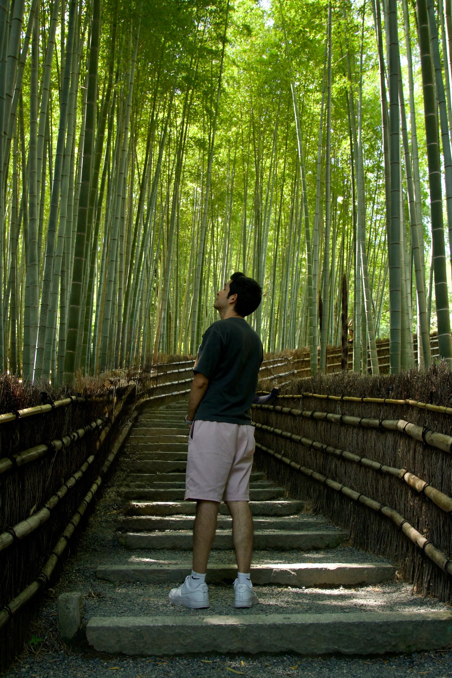 【5H】Private Arashiyama Tour with a Local Guide