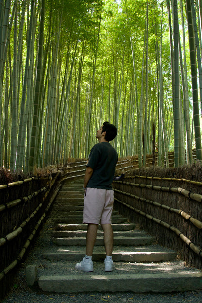 【5H】Private Arashiyama Tour with a Local Guide