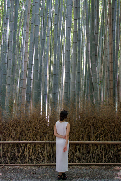 Experiencia Privada de 5 hs en Arashiyama y Okusagano con Clase de Wagashi