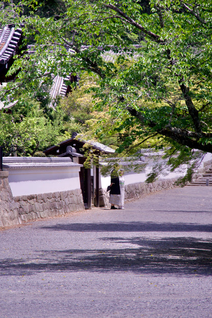 【2H】Private Nanzen-ji Temple Tour with a Local Guide