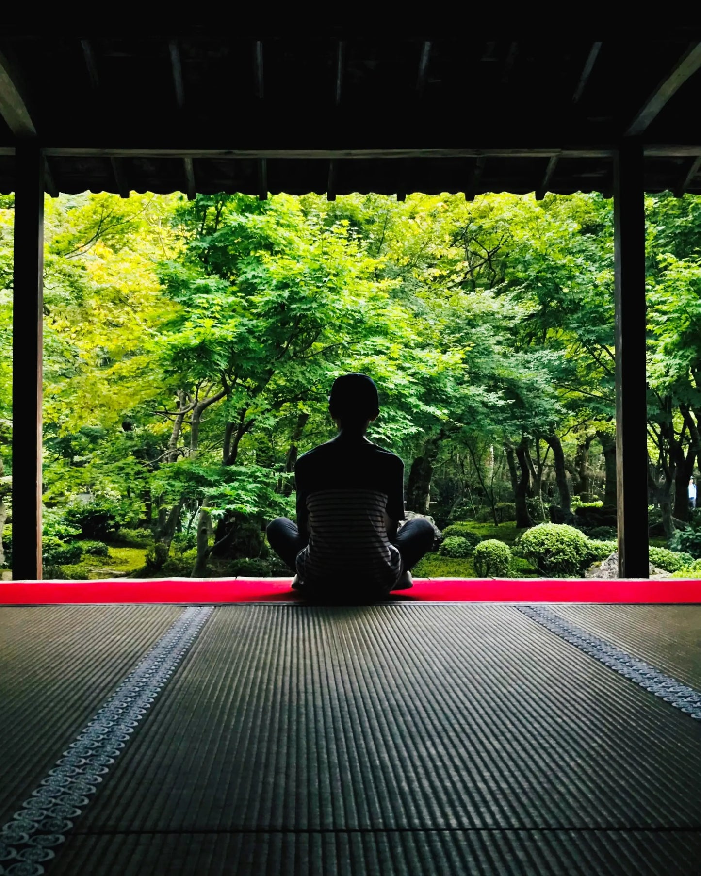 Meditación sensorial: la vista